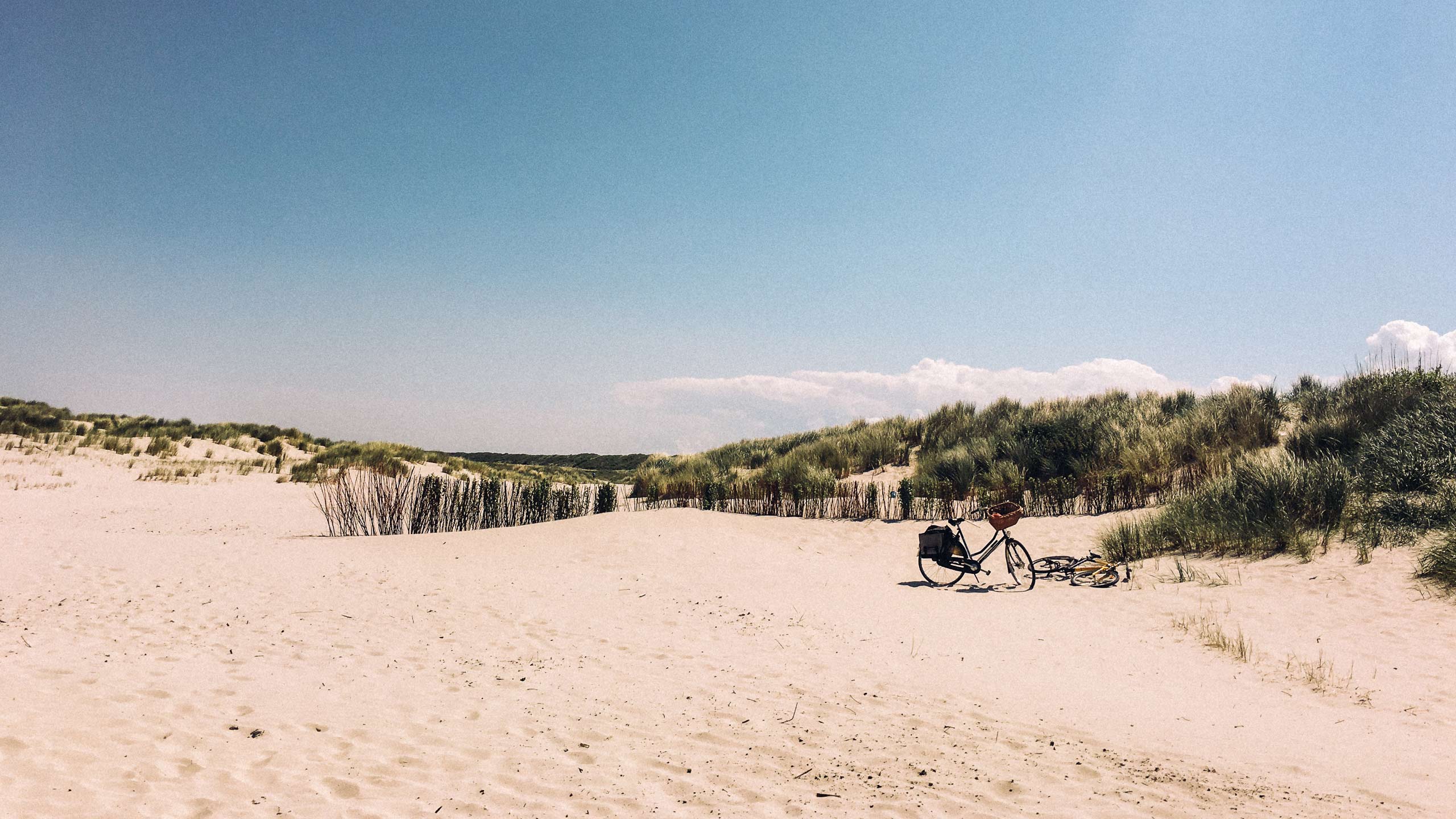 Schiermonnikoog - mit dem Fahrrad am Strand